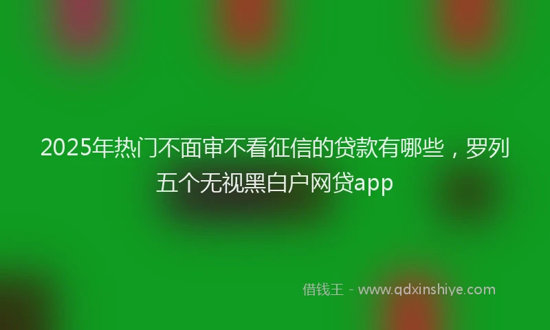 2025年热门不面审不看征信的贷款有哪些，罗列五个无视黑白户网贷app