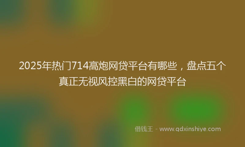 2025年热门714高炮网贷平台有哪些，盘点五个真正无视风控黑白的网贷平台