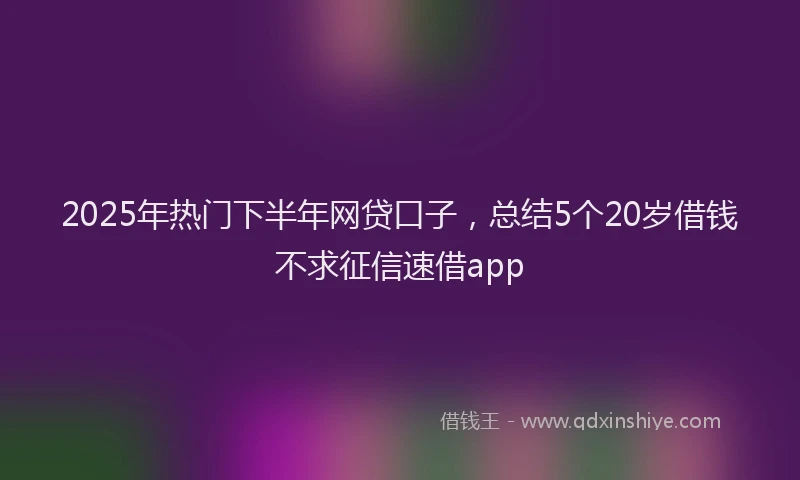 2025年热门下半年网贷口子，总结5个20岁借钱不求征信速借app