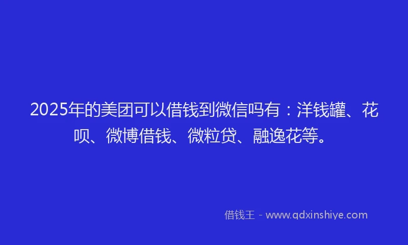 2025年的美团可以借钱到微信吗有：洋钱罐、花呗、微博借钱、微粒贷、融逸花等。