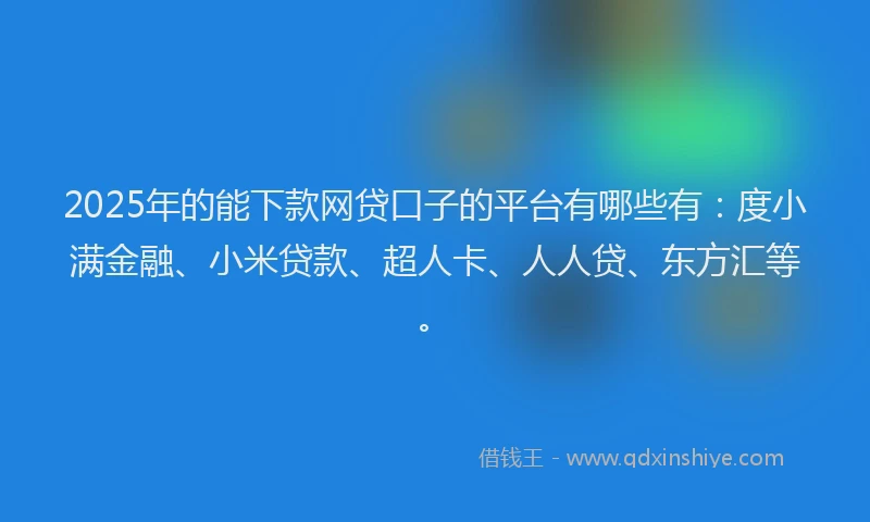 2025年的能下款网贷口子的平台有哪些有：度小满金融、小米贷款、超人卡、人人贷、东方汇等。