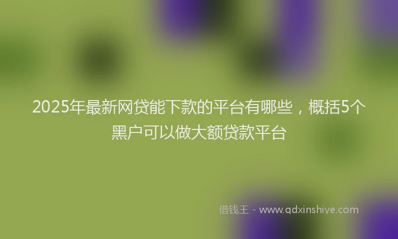 2025年最新网贷能下款的平台有哪些，概括5个黑户可以做大额贷款平台