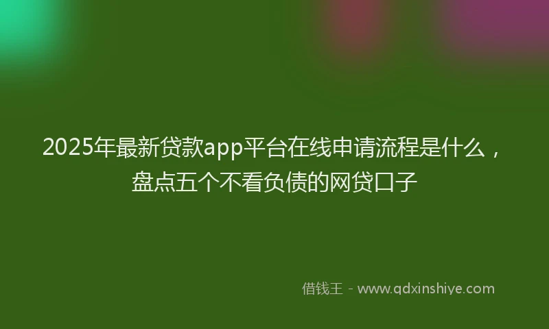 2025年最新贷款app平台在线申请流程是什么，盘点五个不看负债的网贷口子
