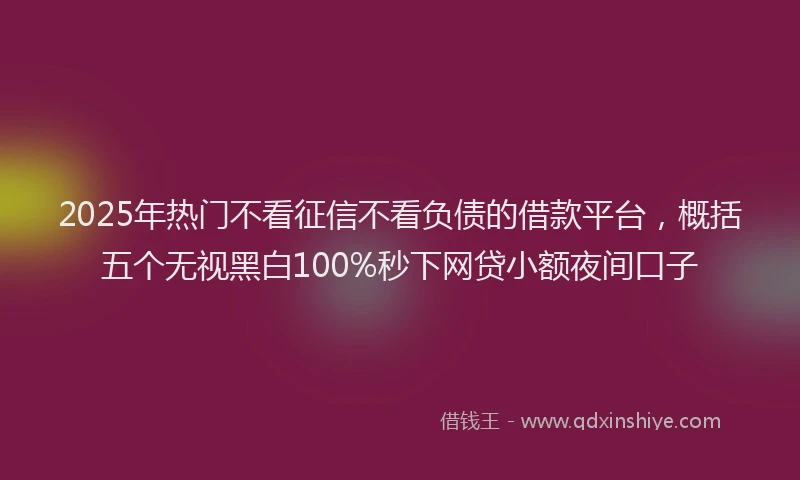 2025年热门不看征信不看负债的借款平台，概括五个无视黑白100%秒下网贷小额夜间口子