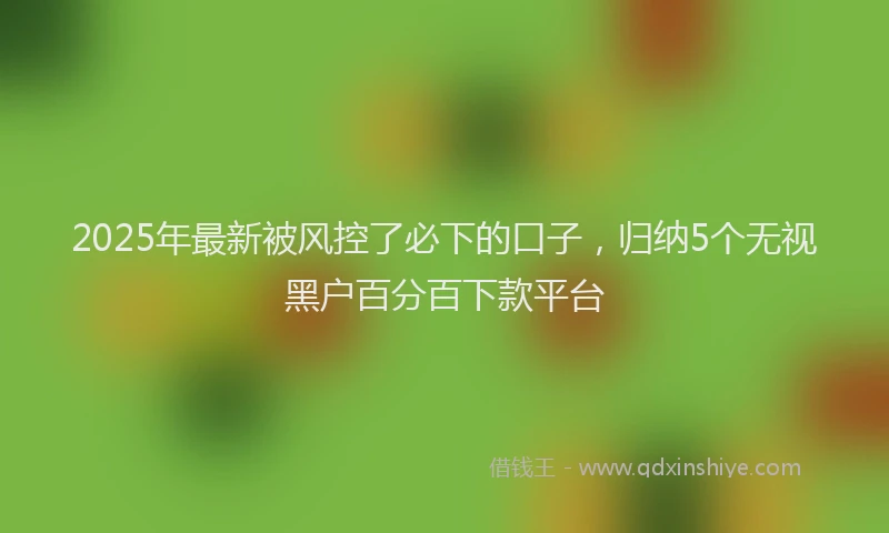 2025年最新被风控了必下的口子，归纳5个无视黑户百分百下款平台