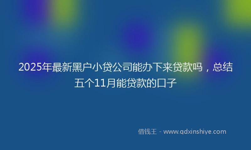 2025年最新黑户小贷公司能办下来贷款吗，总结五个11月能贷款的口子