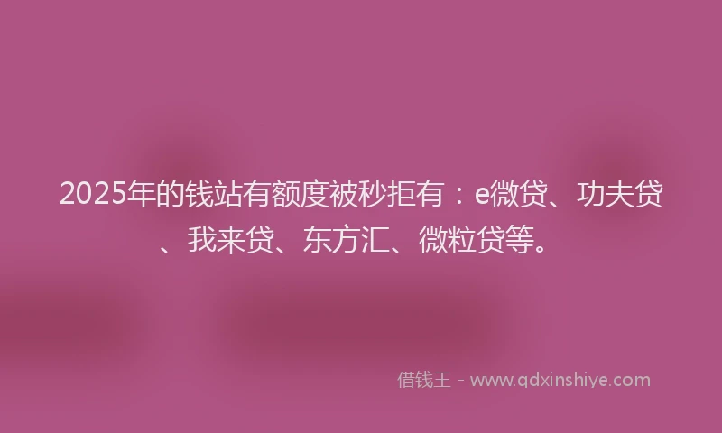 2025年的钱站有额度被秒拒有：e微贷、功夫贷、我来贷、东方汇、微粒贷等。