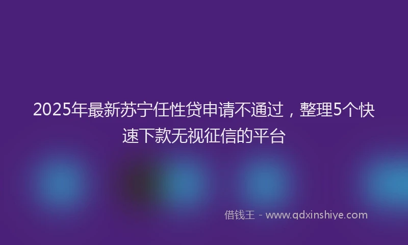 2025年最新苏宁任性贷申请不通过，整理5个快速下款无视征信的平台