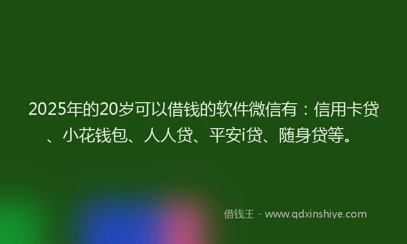 2025年的20岁可以借钱的软件微信有：信用卡贷、小花钱包、人人贷、平安i贷、随身贷等。