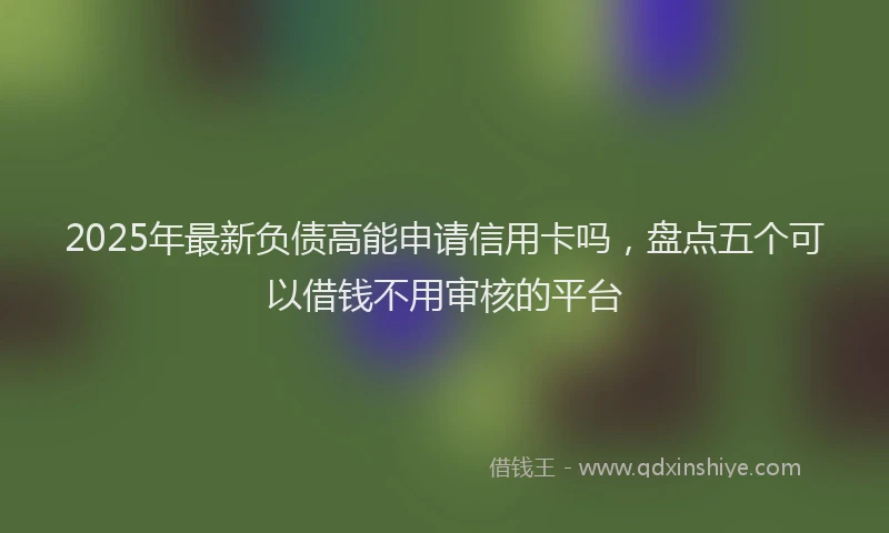 2025年最新负债高能申请信用卡吗，盘点五个可以借钱不用审核的平台