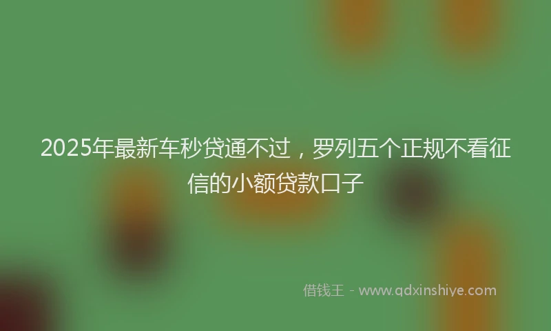 2025年最新车秒贷通不过，罗列五个正规不看征信的小额贷款口子