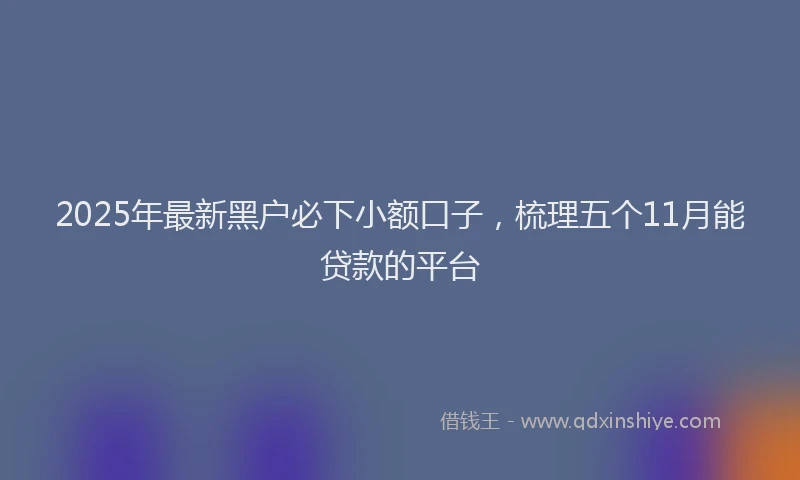 2025年最新黑户必下小额口子，梳理五个11月能贷款的平台