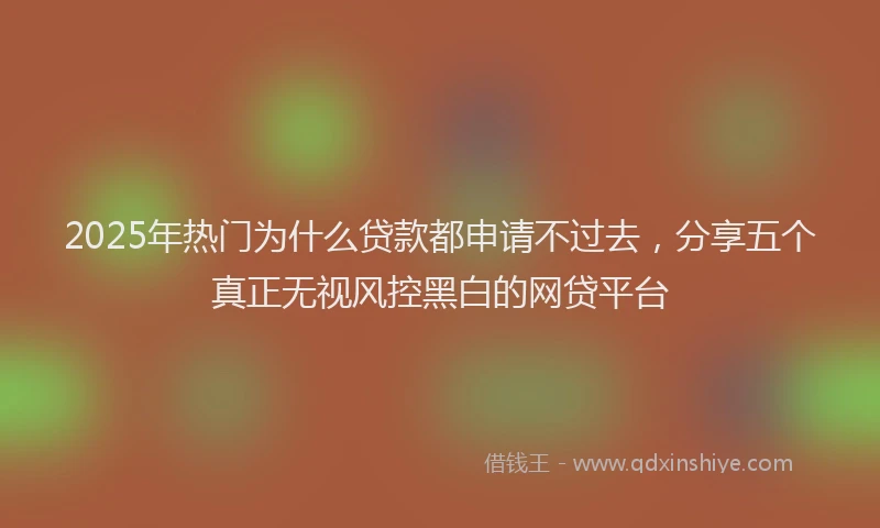 2025年热门为什么贷款都申请不过去，分享五个真正无视风控黑白的网贷平台