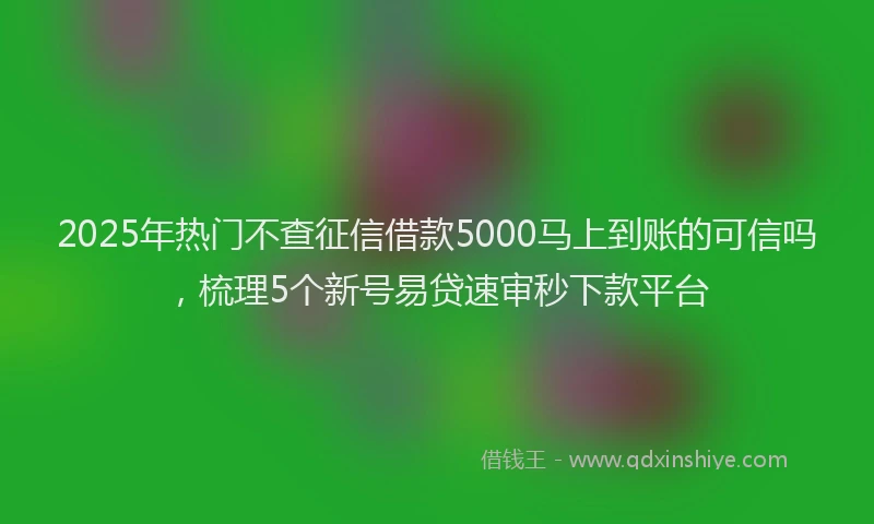 2025年热门不查征信借款5000马上到账的可信吗，梳理5个新号易贷速审秒下款平台
