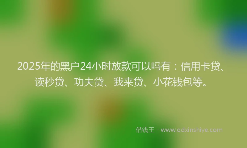 2025年的黑户24小时放款可以吗有：信用卡贷、读秒贷、功夫贷、我来贷、小花钱包等。