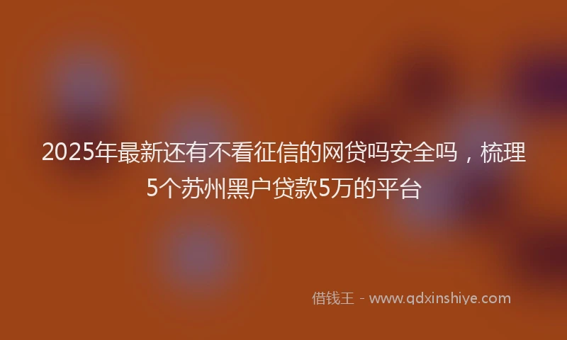 2025年最新还有不看征信的网贷吗安全吗，梳理5个苏州黑户贷款5万的平台