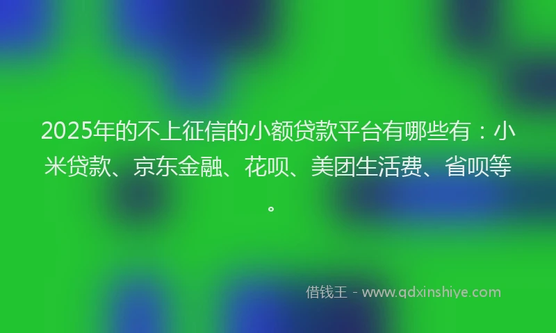 2025年的不上征信的小额贷款平台有哪些有：小米贷款、京东金融、花呗、美团生活费、省呗等。