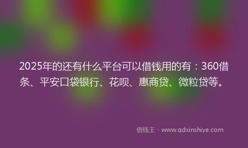 2025年的还有什么平台可以借钱用的有：360借条、平安口袋银行、花呗、惠商贷、微粒贷等。