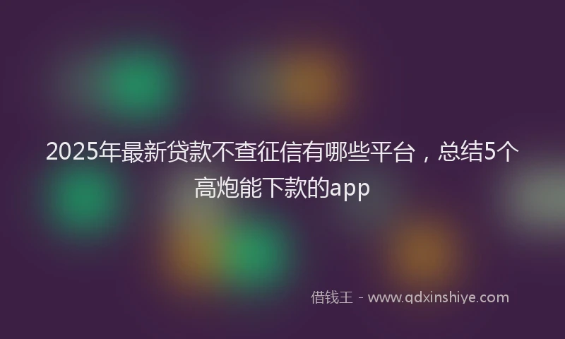 2025年最新贷款不查征信有哪些平台，总结5个高炮能下款的app