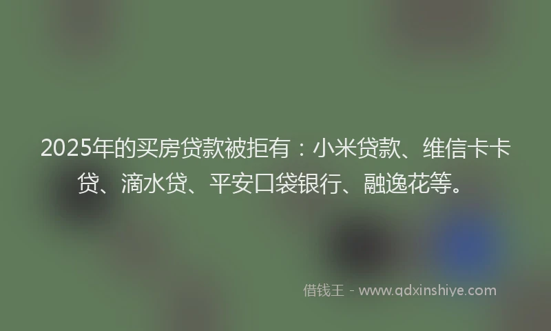 2025年的买房贷款被拒有：小米贷款、维信卡卡贷、滴水贷、平安口袋银行、融逸花等。