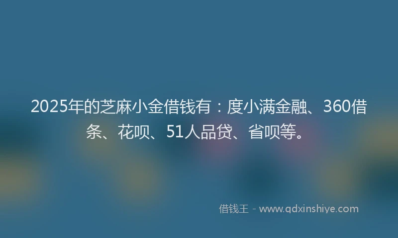 2025年的芝麻小金借钱有：度小满金融、360借条、花呗、51人品贷、省呗等。