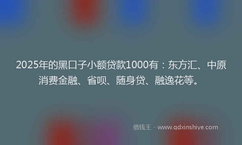 2025年的黑口子小额贷款1000有：东方汇、中原消费金融、省呗、随身贷、融逸花等。