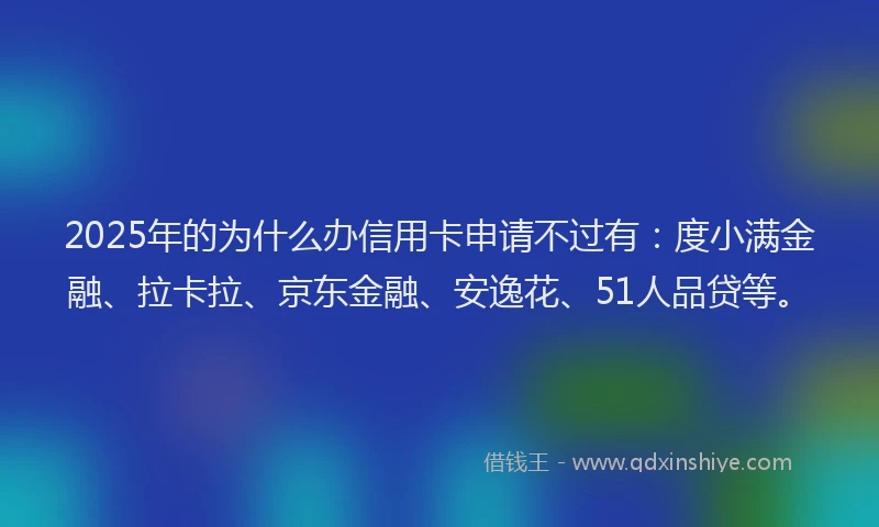 2025年的为什么办信用卡申请不过有：度小满金融、拉卡拉、京东金融、安逸花、51人品贷等。