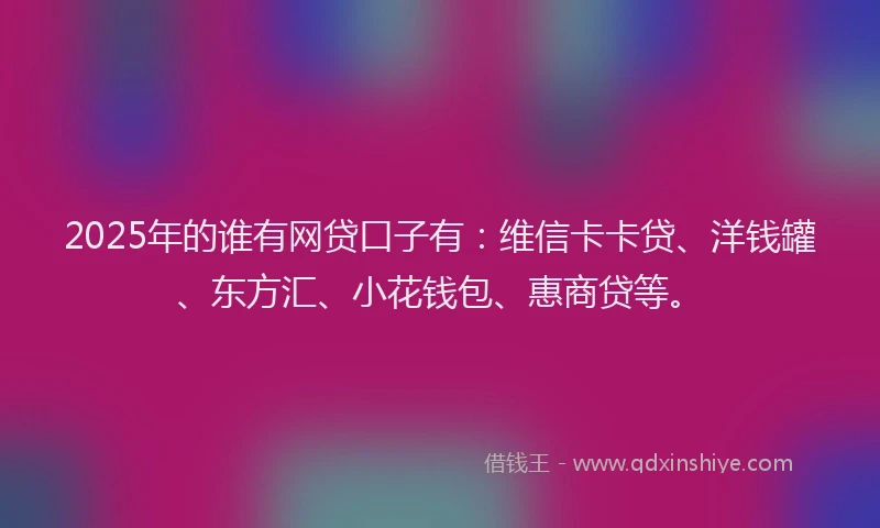 2025年的谁有网贷口子有：维信卡卡贷、洋钱罐、东方汇、小花钱包、惠商贷等。