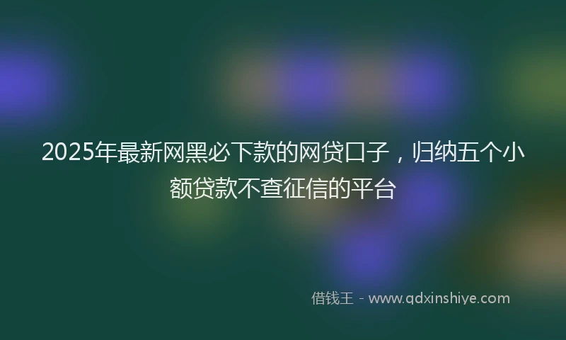 2025年最新网黑必下款的网贷口子，归纳五个小额贷款不查征信的平台