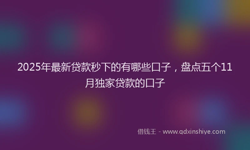 2025年最新贷款秒下的有哪些口子，盘点五个11月独家贷款的口子