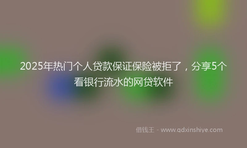 2025年热门个人贷款保证保险被拒了，分享5个看银行流水的网贷软件