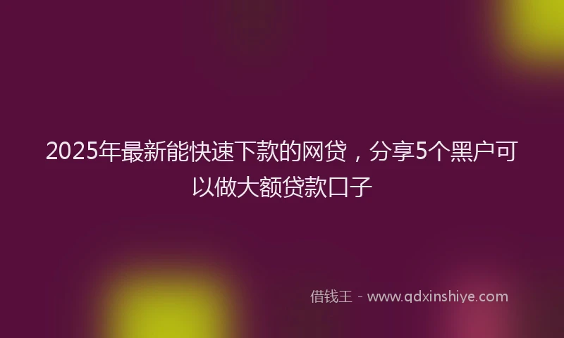 2025年最新能快速下款的网贷，分享5个黑户可以做大额贷款口子