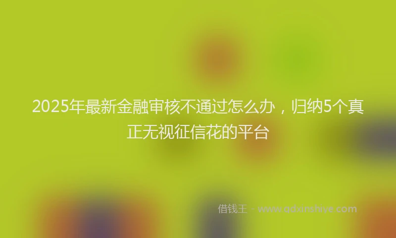 2025年最新金融审核不通过怎么办，归纳5个真正无视征信花的平台