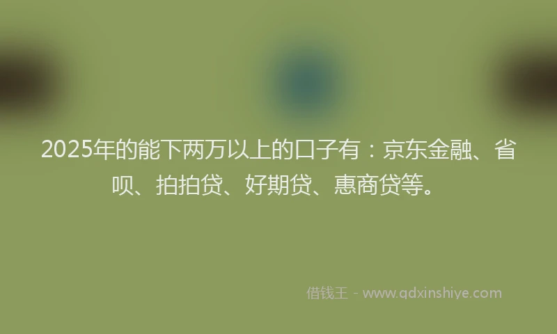 2025年的能下两万以上的口子有：京东金融、省呗、拍拍贷、好期贷、惠商贷等。