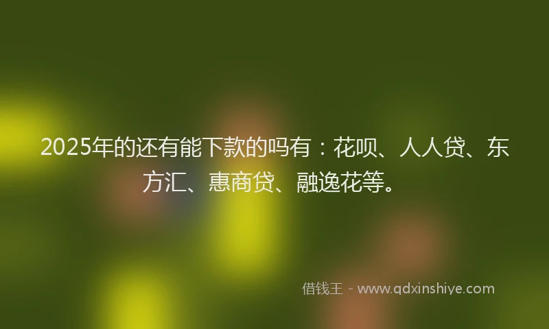 2025年的还有能下款的吗有：花呗、人人贷、东方汇、惠商贷、融逸花等。