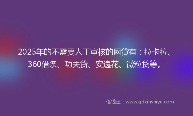 2025年的不需要人工审核的网贷有：拉卡拉、360借条、功夫贷、安逸花、微粒贷等。