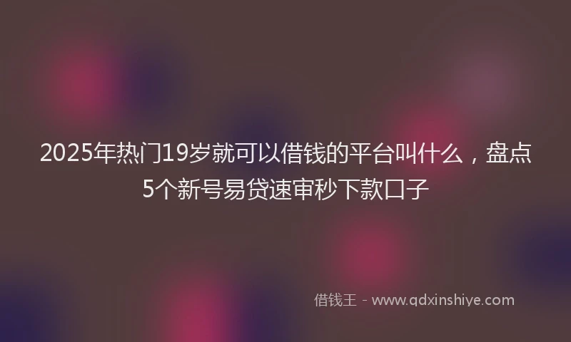 2025年热门19岁就可以借钱的平台叫什么，盘点5个新号易贷速审秒下款口子