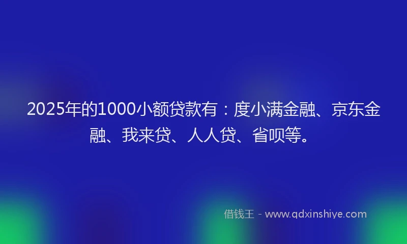2025年的1000小额贷款有：度小满金融、京东金融、我来贷、人人贷、省呗等。