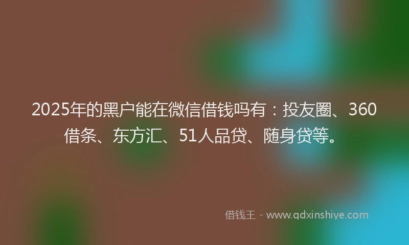 2025年的黑户能在微信借钱吗有：投友圈、360借条、东方汇、51人品贷、随身贷等。