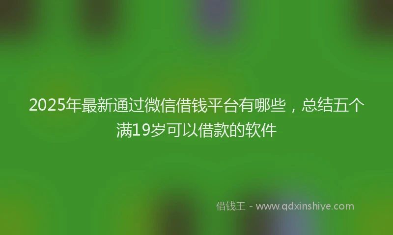 2025年最新通过微信借钱平台有哪些，总结五个满19岁可以借款的软件