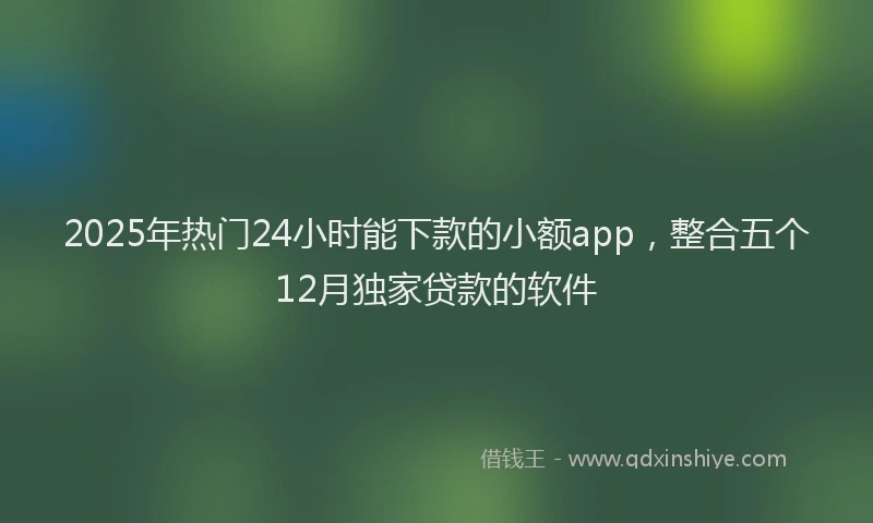 2025年热门24小时能下款的小额app，整合五个12月独家贷款的软件