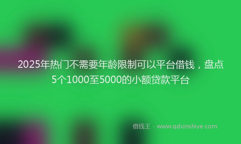 2025年热门不需要年龄限制可以平台借钱，盘点5个1000至5000的小额贷款平台