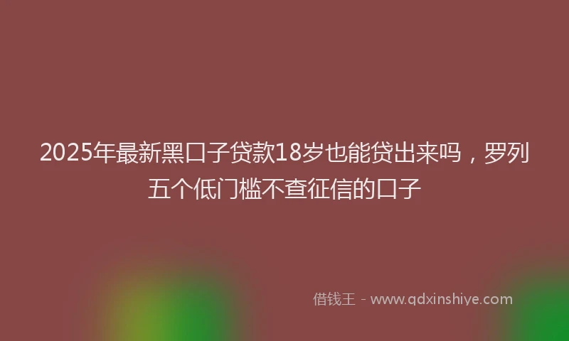 2025年最新黑口子贷款18岁也能贷出来吗，罗列五个低门槛不查征信的口子