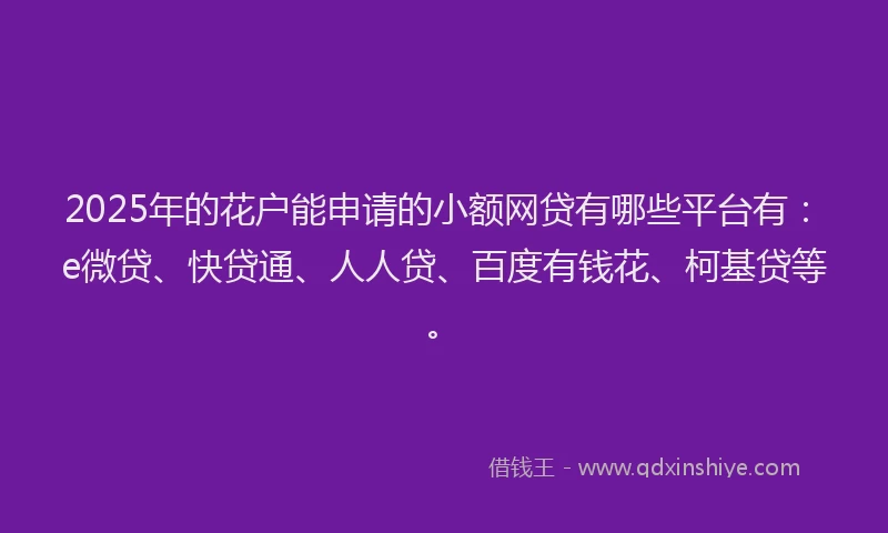 2025年的花户能申请的小额网贷有哪些平台有：e微贷、快贷通、人人贷、百度有钱花、柯基贷等。