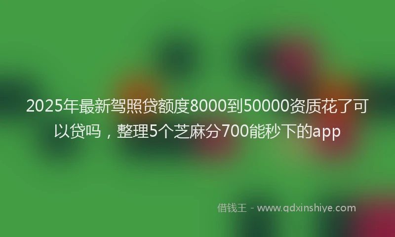 2025年最新驾照贷额度8000到50000资质花了可以贷吗，整理5个芝麻分700能秒下的app