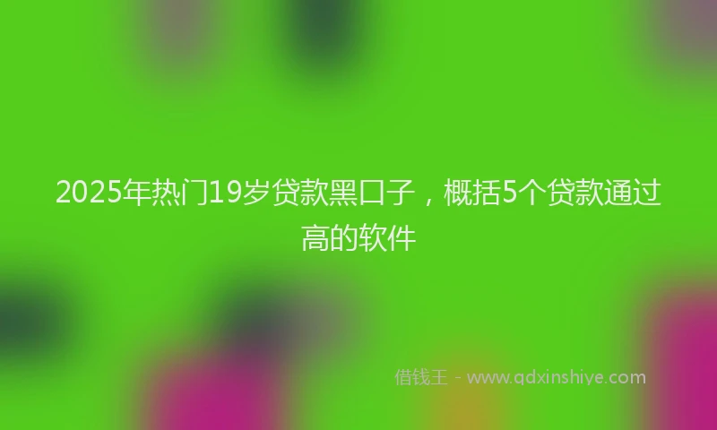 2025年热门19岁贷款黑口子，概括5个贷款通过高的软件