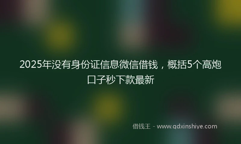 2025年没有身份证信息微信借钱，概括5个高炮口子秒下款最新
