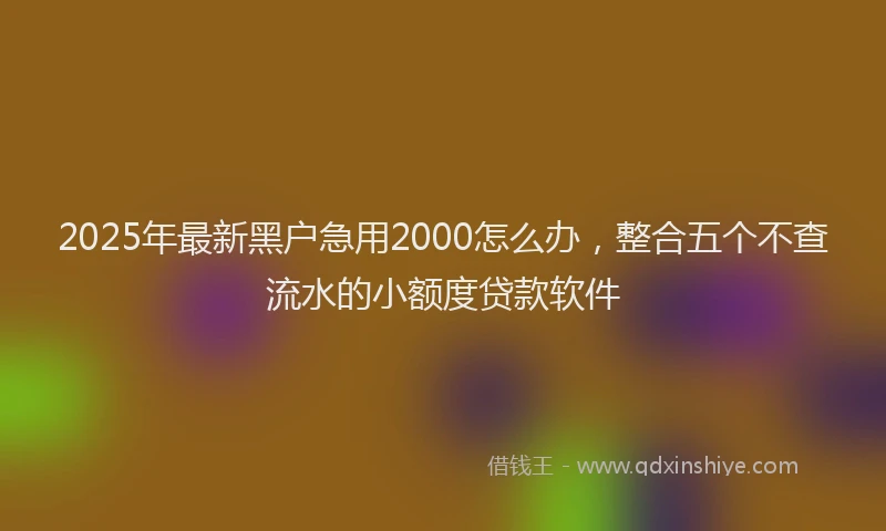 2025年最新黑户急用2000怎么办，整合五个不查流水的小额度贷款软件