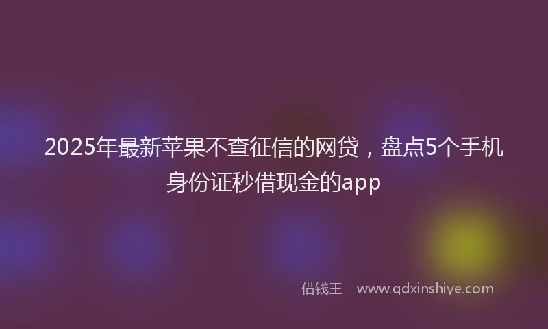 2025年最新苹果不查征信的网贷，盘点5个手机身份证秒借现金的app