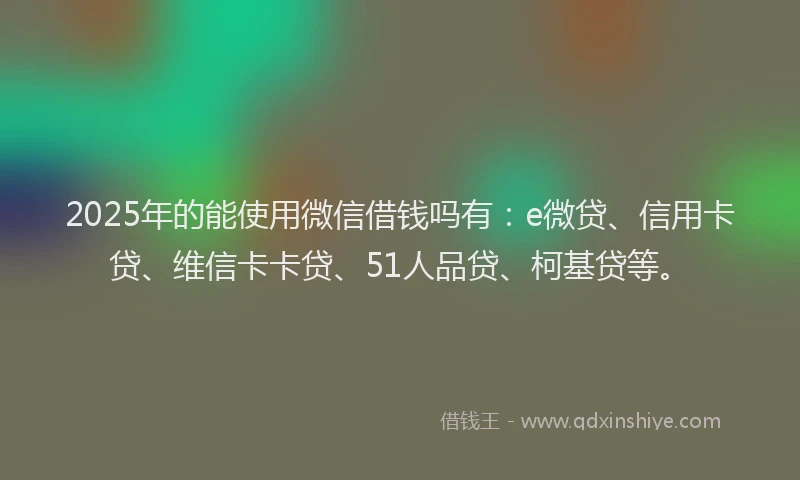 2025年的能使用微信借钱吗有：e微贷、信用卡贷、维信卡卡贷、51人品贷、柯基贷等。